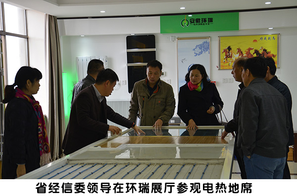 省經(jīng)信委領導來環(huán)瑞考察3