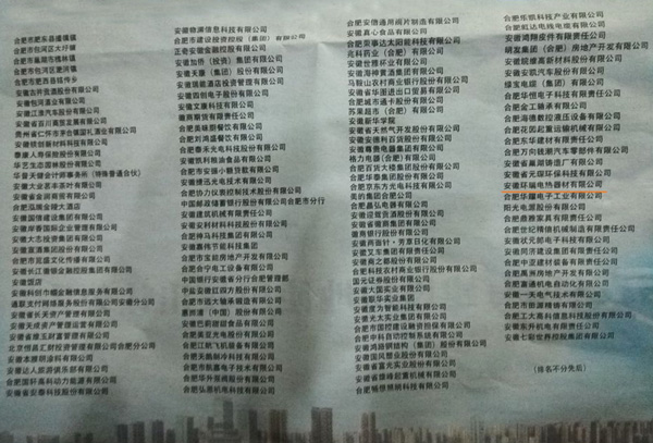 合肥經(jīng)濟(jì)圈品牌影響力峰會暨品牌成就展活動