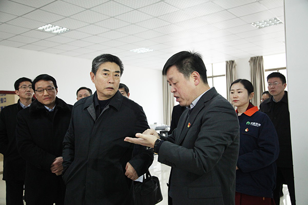 安徽省委組織部鄧部長來環(huán)瑞考察指導