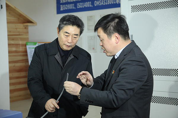 安徽省委組織部鄧部長來環(huán)瑞考察指導