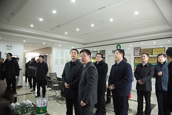 安徽省委組織部鄧部長來環(huán)瑞考察指導