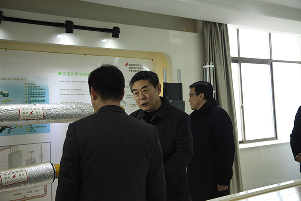 安徽省委組織部鄧部長來環(huán)瑞考察指導