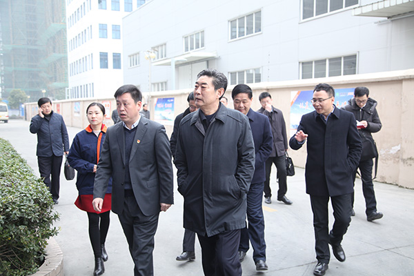 安徽省委組織部鄧部長來環(huán)瑞考察指導