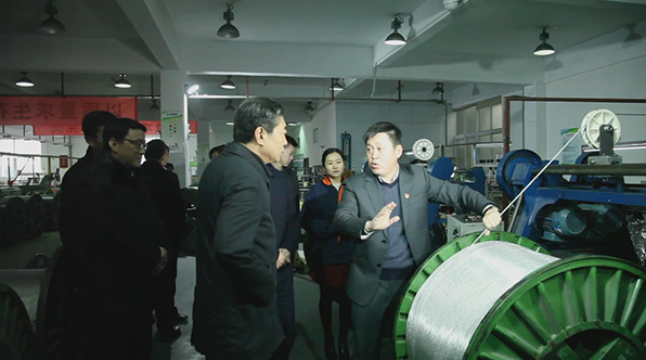 安徽省委組織部鄧部長來環(huán)瑞考察指導